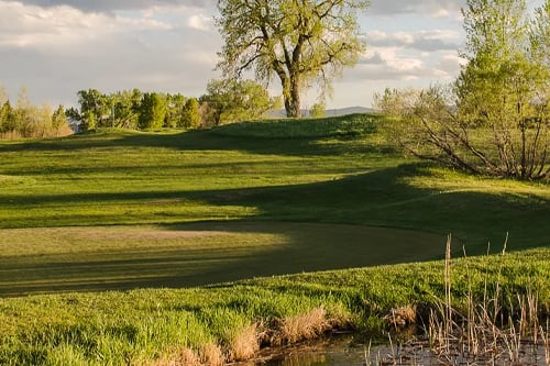 Stoney Creek Golf Course golf course
